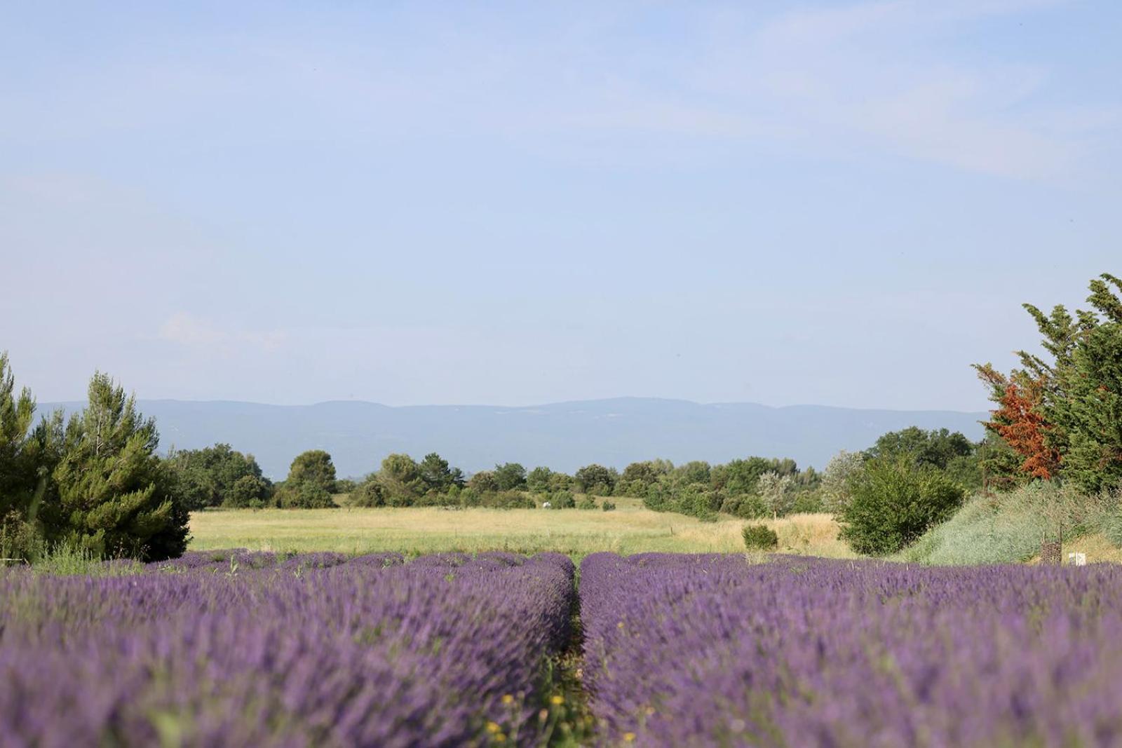 Le Mas Les Eydins Bonnieux Exterior foto