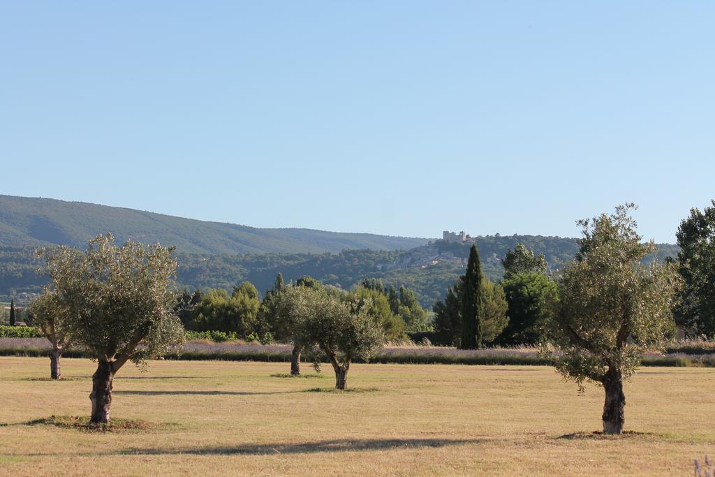 Le Mas Les Eydins Bonnieux Exterior foto