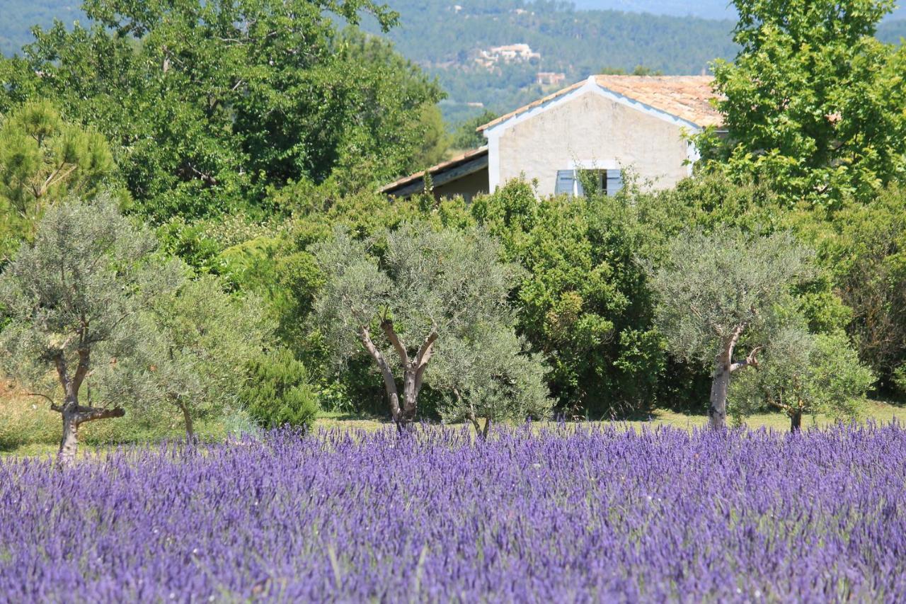 Le Mas Les Eydins Bonnieux Exterior foto